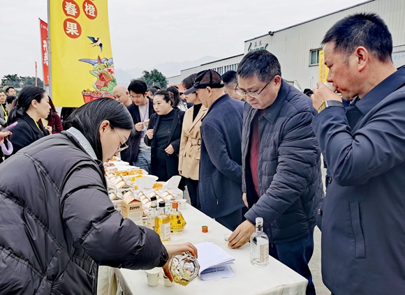 嘉宾在川渝农业科技成果展区品尝橙酒。陈泓莹 摄