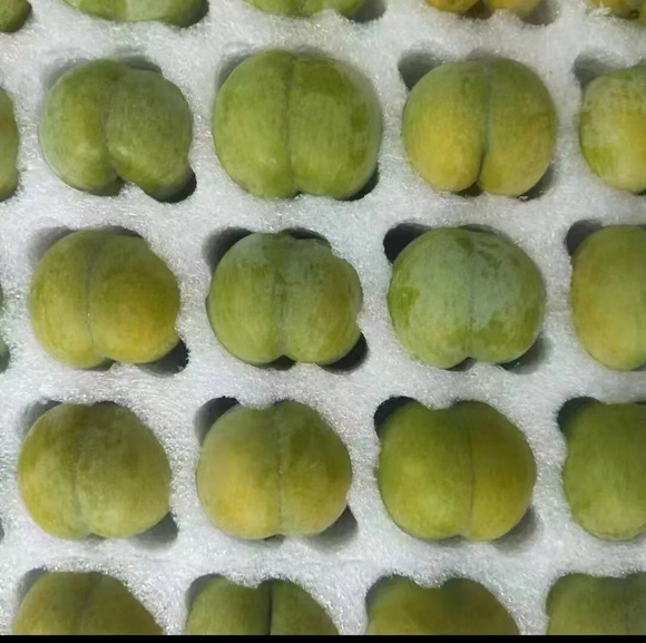 秋天有好&ldquo;李&rdquo; 开州晚熟李新鲜上市！